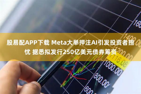 股易配APP下载 Meta大举押注AI引发投资者担忧 据悉拟发行250亿美元债券筹资